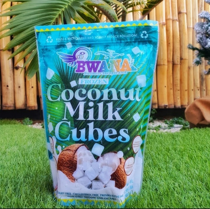 Frozen Coconut Milk Cubes